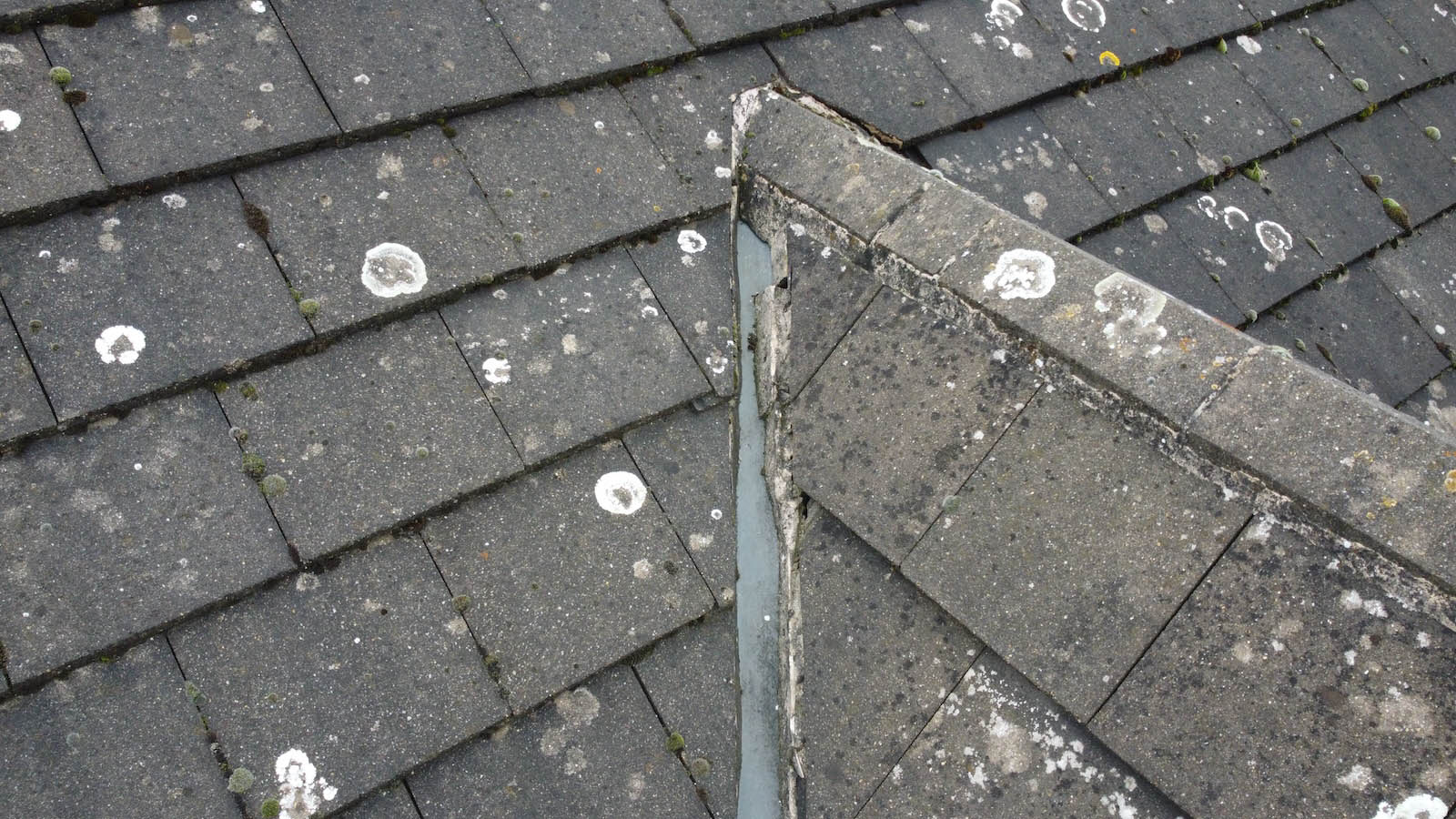 Drone Roof Surveying